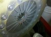 IMG_20110819_210655.jpg