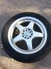 Wheel.jpg